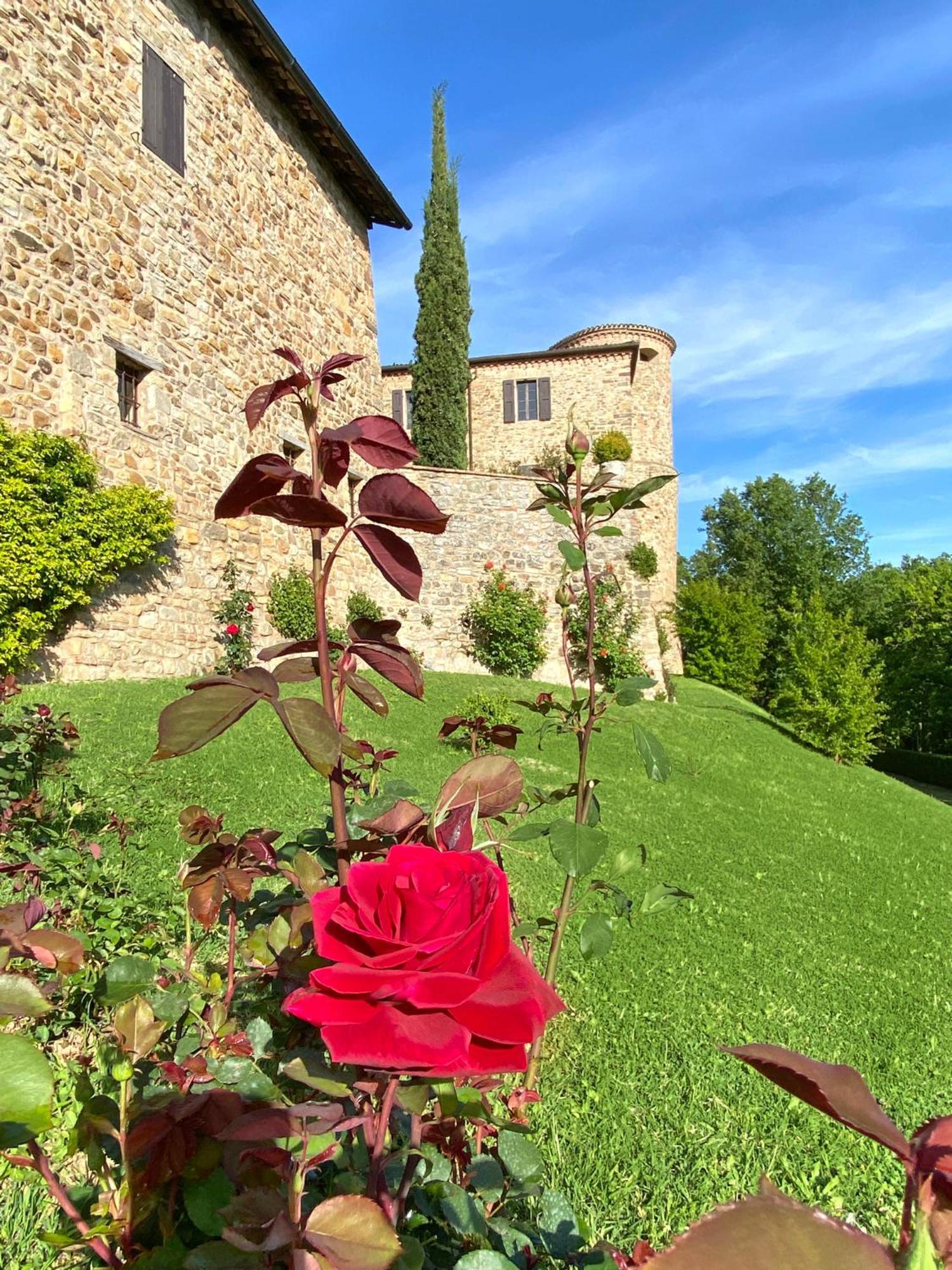 Villa Castello Di Viano Exterior foto