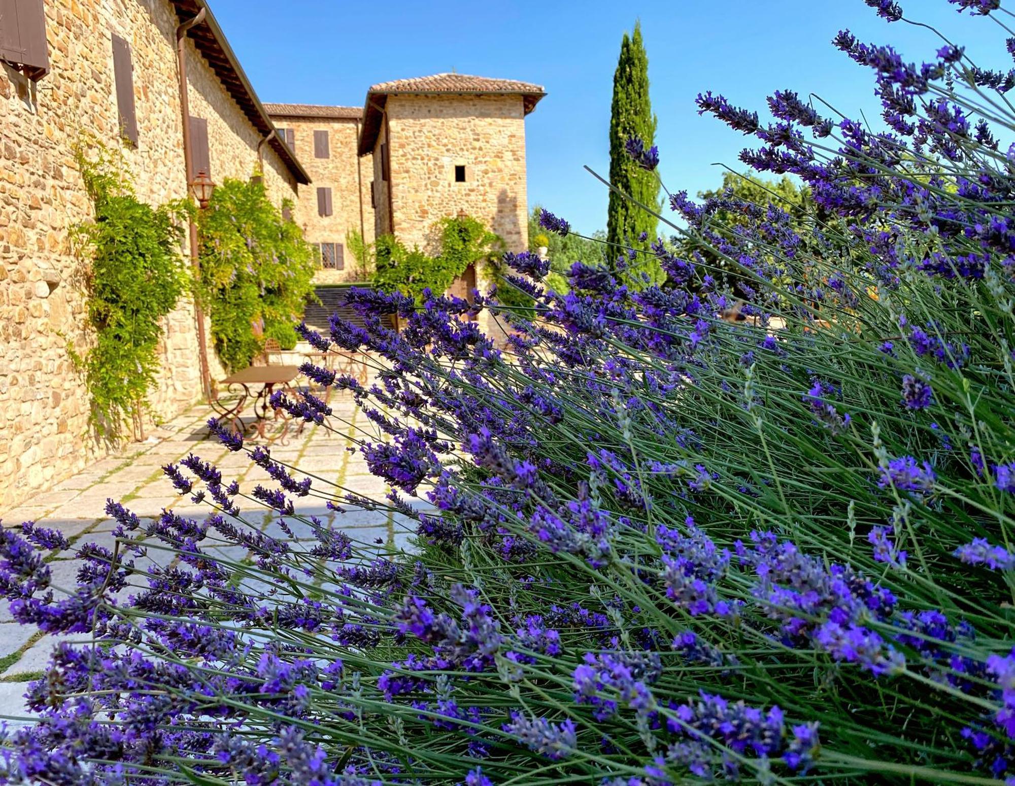 Villa Castello Di Viano Exterior foto
